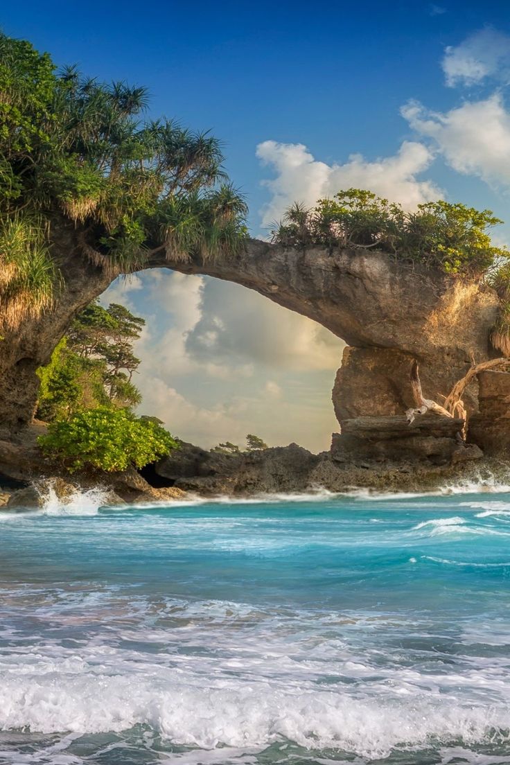 Andaman and Nicobar